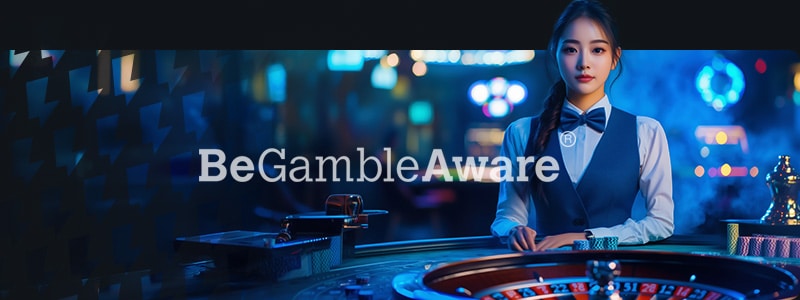 responsible roulette gambling